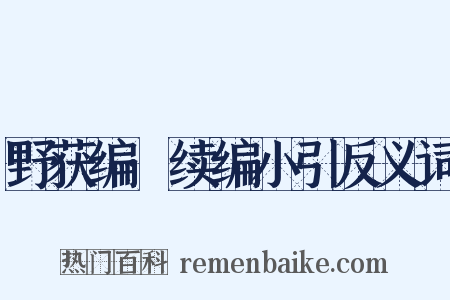 野获编·续编小引反义词是什么意思的图片